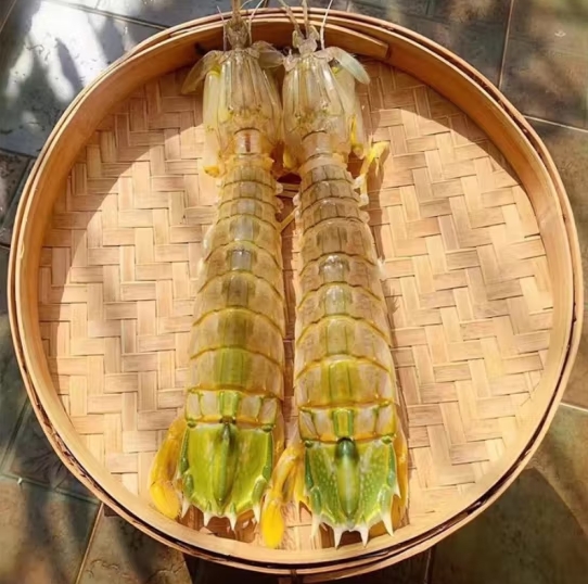 微信截图_20240223101745