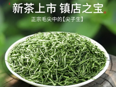 乐品乐茶绿茶毛尖茶叶特级250g 2024