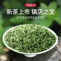 乐品乐茶绿茶毛尖茶叶特级250g 2024新茶明前礼袋装春茶嫩芽茶叶自己喝