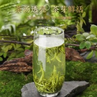 第一江南绿茶龙井 特级250g2024年新茶明前茶叶礼盒装春茶寻山问茶礼品